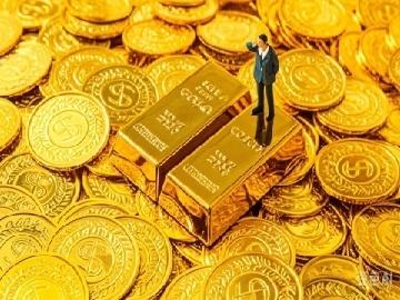 金龙鱼等成立生物科技公司，中报净利润大增六成，投资新动向揭秘